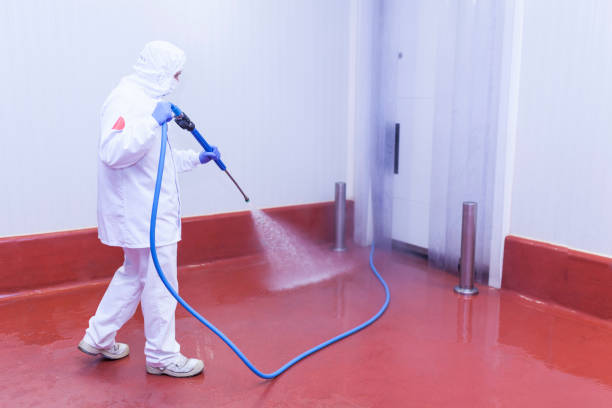 Best Graffiti Removal  in Shell Point, SC